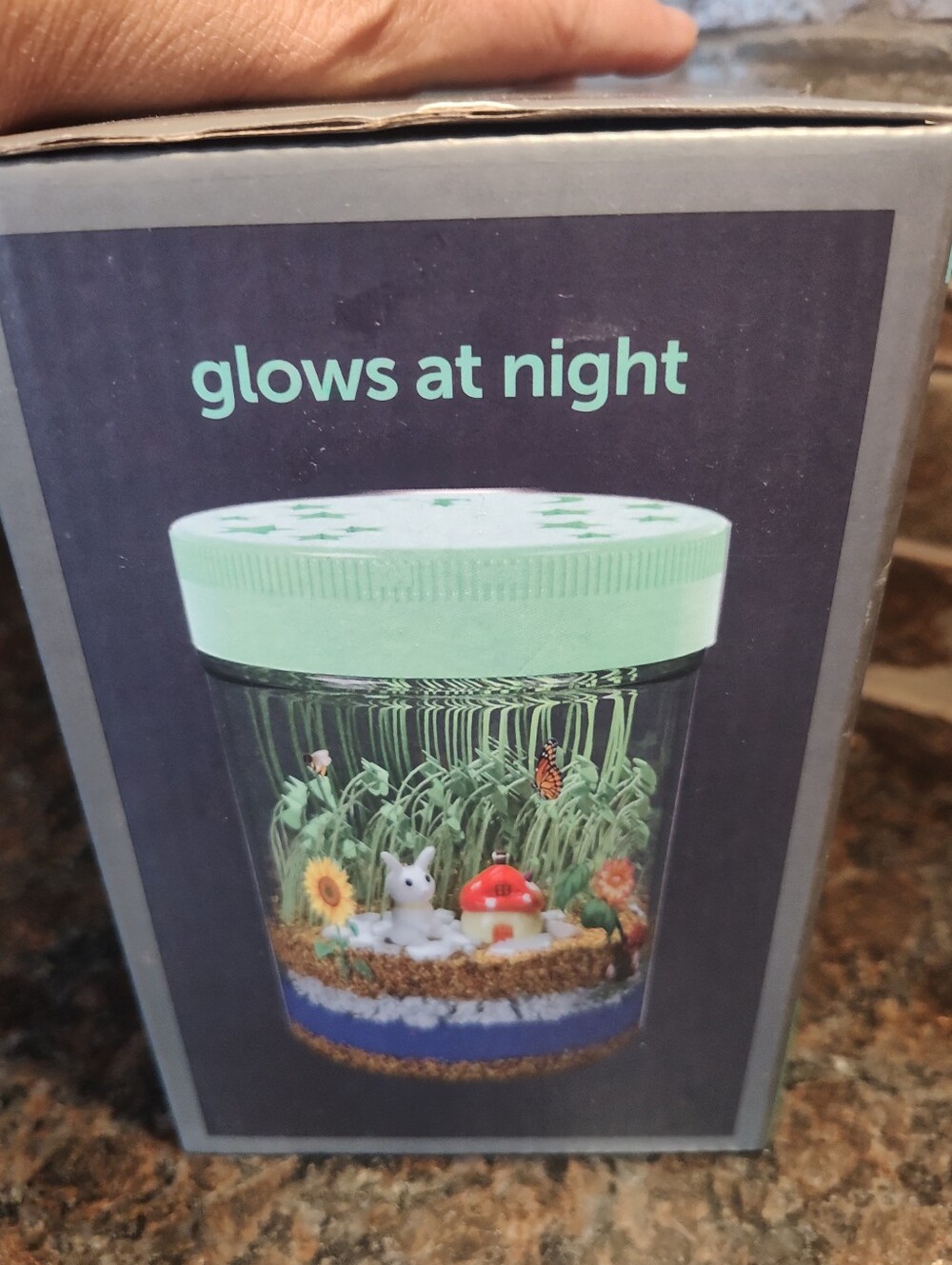 Mini Explorer Light-Up Terrarium Kit - Grows And Glows - Picture 3 of 4